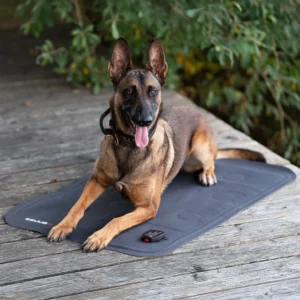 EQUUSIR BIOS TRAVEL Hundedecke